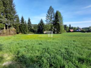 Prodej pozemku pro bydlení, Police nad Metují - Hony, 595 m2