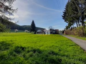 Prodej pozemku pro bydlení, Police nad Metují - Hony, 595 m2