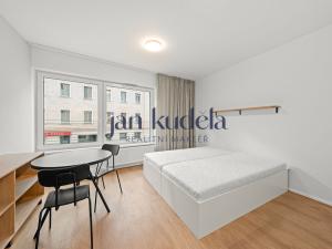 Pronájem bytu 1+kk, Brno, Cejl, 28 m2