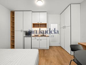 Pronájem bytu 1+kk, Brno, Cejl, 28 m2