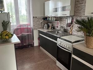 Prodej bytu 2+1, Hodonín, Pánov, 60 m2