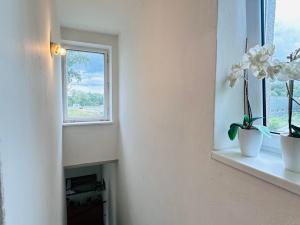 Prodej bytu 2+1, Hodonín, Pánov, 60 m2