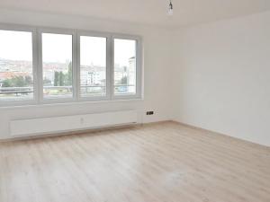 Pronájem bytu 1+kk, Praha - Nusle, Družstevní, 47 m2