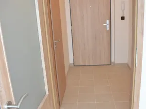 Pronájem bytu 1+kk, Praha - Nusle, Družstevní, 47 m2