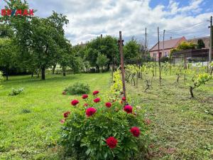 Prodej rodinného domu, Stavěšice, 150 m2