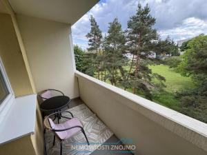 Pronájem bytu 1+1, Znojmo, Gagarinova