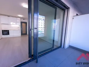 Pronájem bytu 1+kk, Praha - Žižkov, Jana Želivského, 36 m2