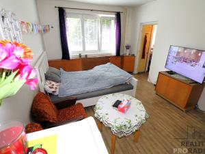 Prodej bytu 1+kk, Brno - Černá Pole, náměstí SNP, 28 m2