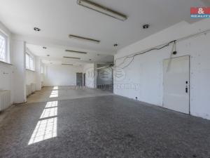 Prodej obchodního prostoru, Nové Sedlo, Masarykova, 297 m2