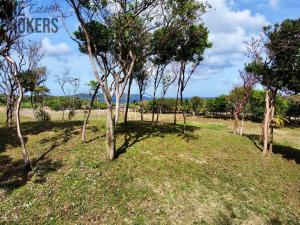 Prodej pozemku, Coxen Hole, Roatán, Honduras, 847 m2