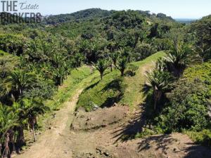 Prodej pozemku, Coxen Hole, Roatán, Honduras, 481 m2