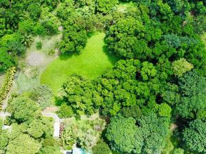 Prodej pozemku, Coxen Hole, Roatán, Honduras, 2090 m2