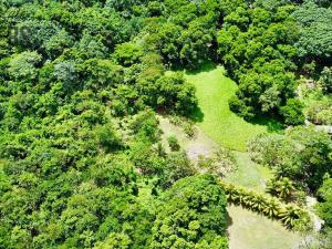Prodej pozemku, Coxen Hole, Roatán, Honduras, 1617 m2