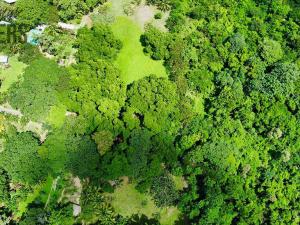 Prodej pozemku, Coxen Hole, Roatán, Honduras, 1617 m2