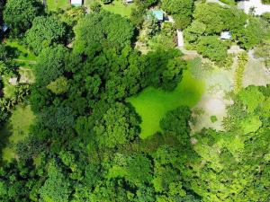 Prodej pozemku, Coxen Hole, Roatán, Honduras, 8984 m2