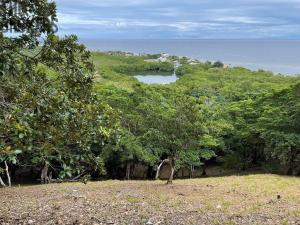 Prodej pozemku, Coxen Hole, Roatán, Honduras, 1000 m2