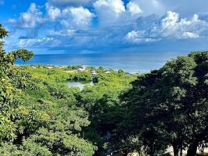 Prodej pozemku, Coxen Hole, Roatán, Honduras, 1000 m2