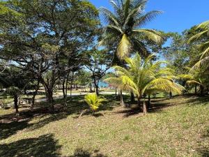 Prodej pozemku, Coxen Hole, Roatán, Honduras, 842 m2