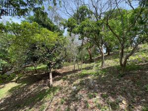 Prodej pozemku, Coxen Hole, Roatán, Honduras, 2107 m2