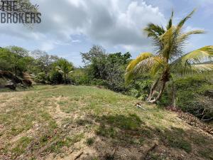 Prodej pozemku, Coxen Hole, Roatán, Honduras, 2107 m2