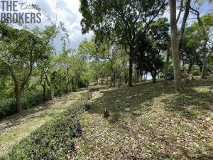 Prodej pozemku, Coxen Hole, Roatán, Honduras, 2400 m2