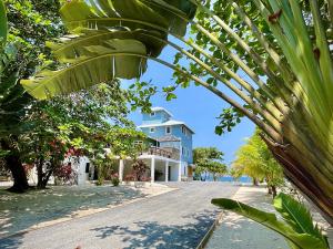 Prodej rodinného domu, Coxen Hole, Roatán, Honduras, 1022 m2