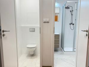 Pronájem bytu 2+kk, Pardubice - Zelené Předměstí, Jungmannova, 43 m2
