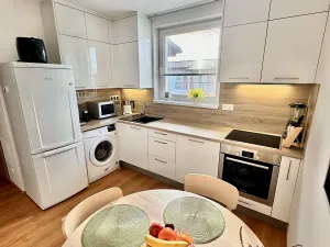 Prodej bytu 2+kk, Nová Ves, Nad Obcí, 49 m2