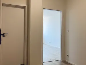 Pronájem bytu 2+kk, Ostrava, Hasičská, 53 m2