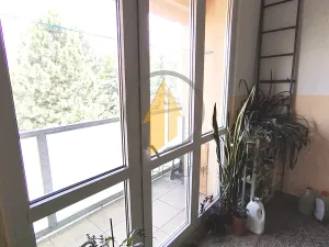Prodej bytu 1+1, Turnov, Sídliště Jana Patočky, 40 m2