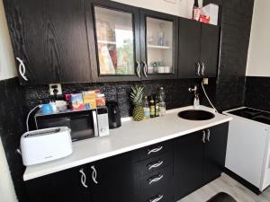Pronájem bytu 2+1, Bílina - Pražské Předměstí, Fügnerova, 48 m2
