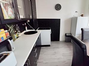 Pronájem bytu 2+1, Bílina - Pražské Předměstí, Fügnerova, 48 m2