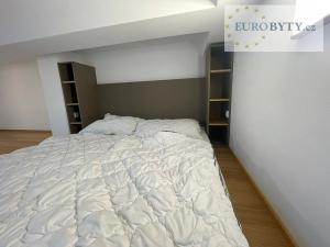 Pronájem bytu 1+kk, Praha - Vršovice, Bartoškova, 41 m2