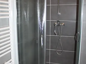 Pronájem bytu 1+1, Brno, Vlhká, 46 m2