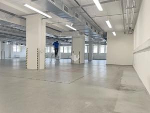 Pronájem obchodního prostoru, Praha - Braník, Zelený pruh, 1209 m2