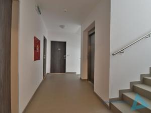 Pronájem bytu 1+kk, Nová Paka, P. Bezruče, 47 m2
