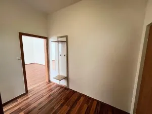 Pronájem bytu 1+1, Karlík, K Třešňovce, 42 m2