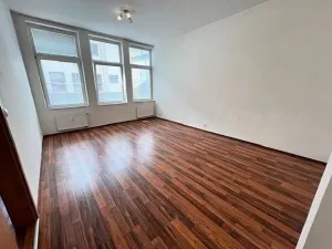 Pronájem bytu 1+1, Karlík, K Třešňovce, 42 m2