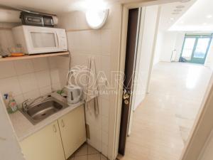 Pronájem obchodního prostoru, Praha - Nové Město, Spálená, 41 m2