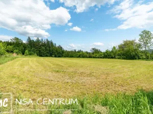 Prodej pozemku pro bydlení, Železný Brod, 3984 m2