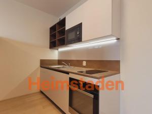 Pronájem bytu 1+kk, Plzeň - Jižní Předměstí, Magisterská, 30 m2