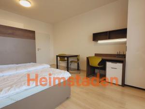 Pronájem bytu 1+kk, Plzeň - Jižní Předměstí, Magisterská, 30 m2