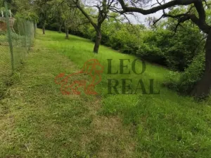 Prodej zahrady, Slavkov u Brna, Palackého náměstí, 595 m2