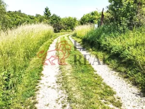 Prodej zahrady, Slavkov u Brna, Palackého náměstí, 595 m2