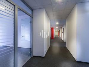 Pronájem kanceláře, Praha - Holešovice, Na Maninách, 5000 m2