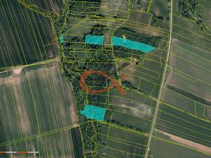 Prodej lesa, Fulnek - Jílovec, 71000 m2