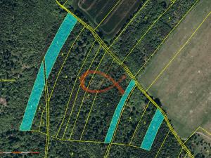 Prodej lesa, Fulnek - Jílovec, 71000 m2