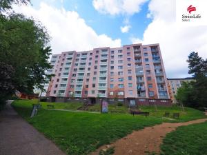 Prodej bytu 1+1, Havlíčkův Brod, Na Výšině, 40 m2