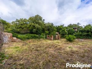 Prodej rodinného domu, Dyje, 100 m2