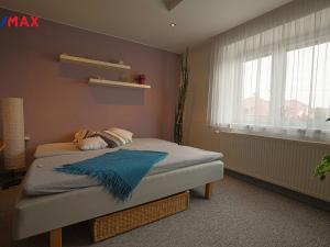 Prodej rodinného domu, Němčice, 600 m2